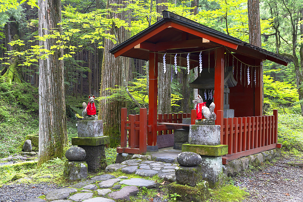 Takino'o Shrine of Futarasan Temple (UNESCO World Heritage Site), Nikko, Tochigi, Japan