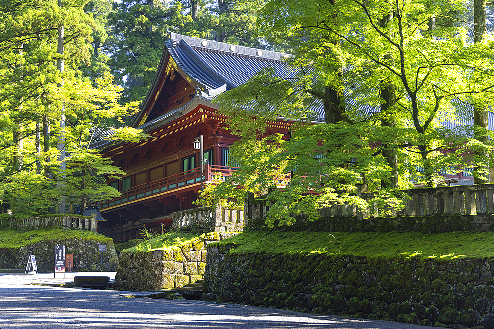 Main hall of Rinnoji Temple (UNESCO World Heritage Site), Nikko, Tochigi, Japan