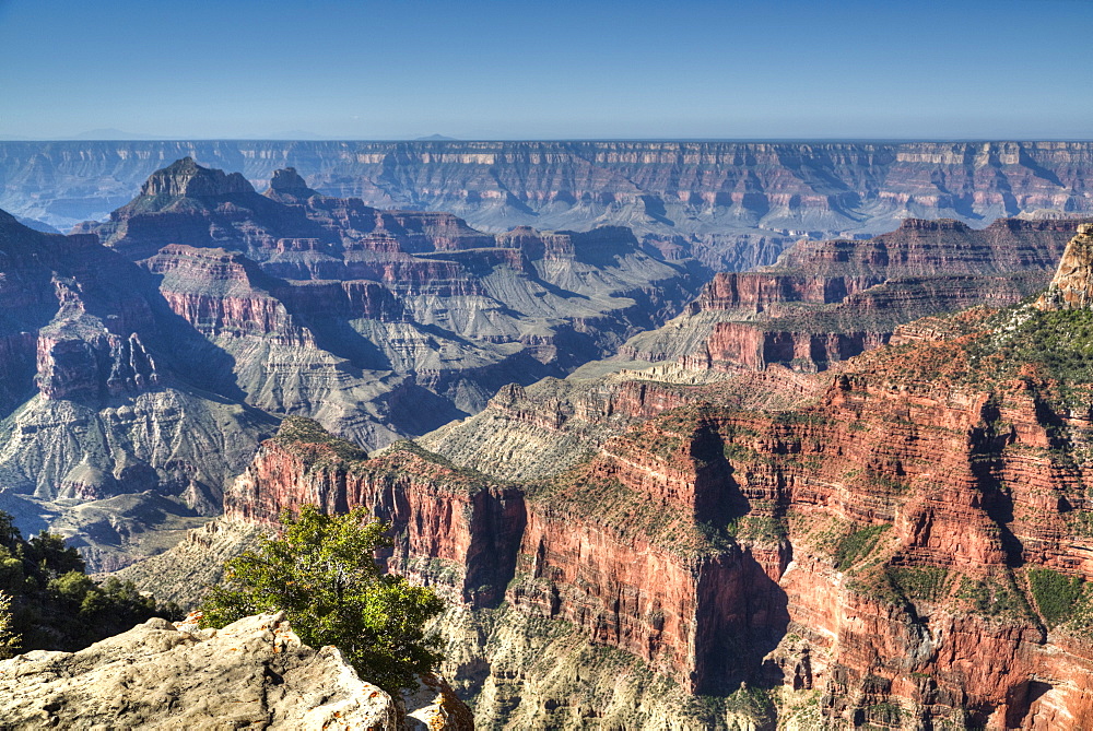 From Bright Angel Point, North Rim, Grand Canyon National Park, UNESCO World Heritage Site, Arizona, United States of America, North America