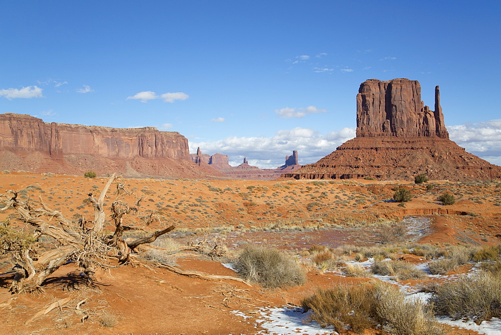 West Mitten Butte, Monument Valley Navajo Tribal Park, Utah, United States of America, North America