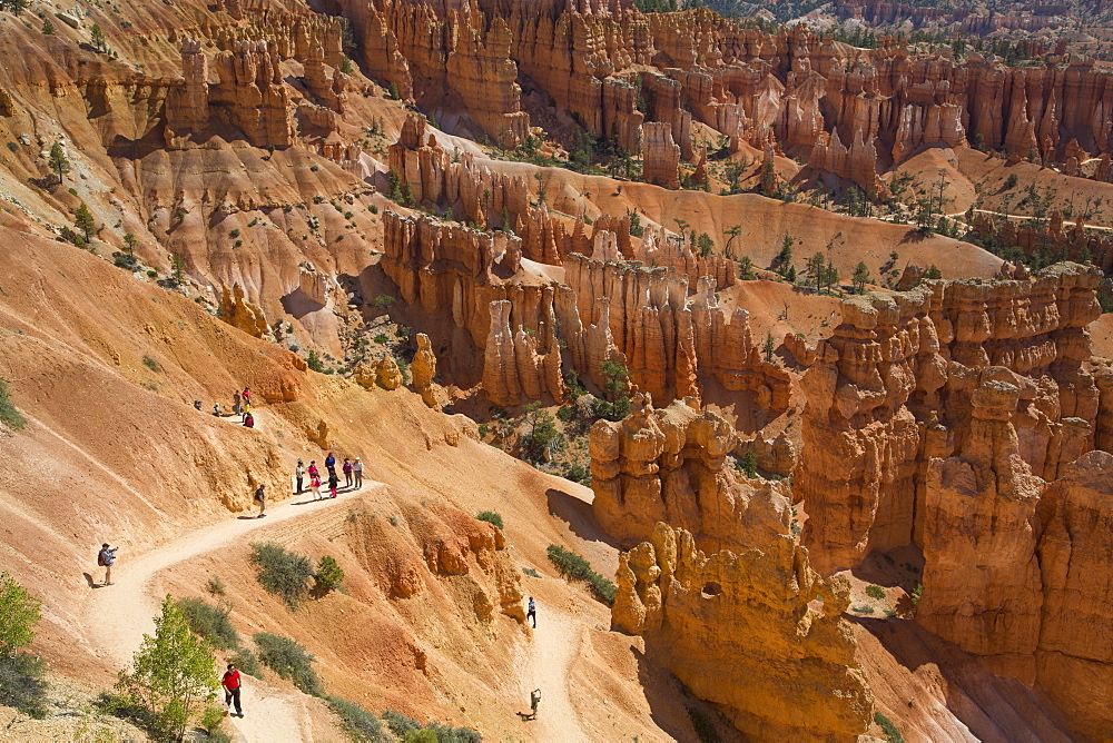 Hiking the Queens Garden Trail, Bryce Canyon National Park, Utah, United States of America, North America