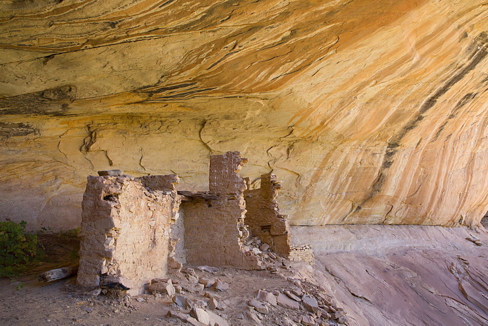 Anasazi Ruins, Monarch Cave, Butler Wash, near Bluff, Utah, United States of America, North America