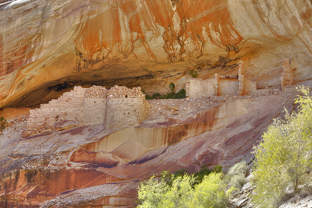 Anasazi Ruins, Monarch Cave, Butler Wash, near Bluff, Utah, United States of America, North America