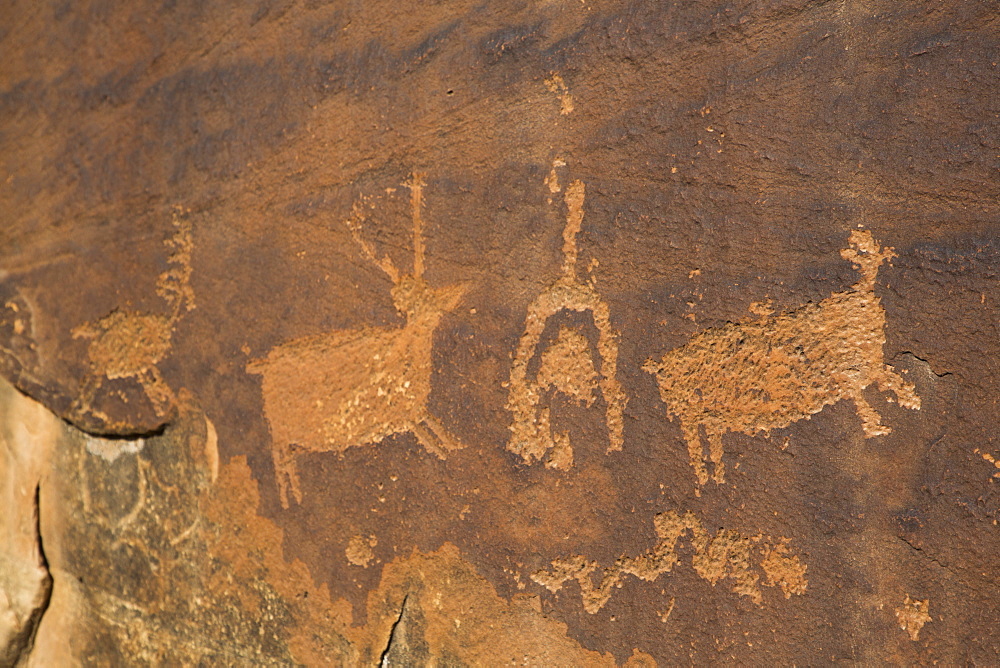 Anasazi Petroglyphs, Shay Canyon, Utah, United States of America, North America