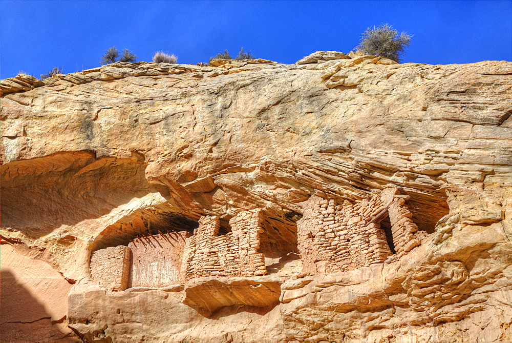 Target Ruins, Ancestral Pueblo, up to 1000 years old, Coomb Ridge area, Utah, United States of America, North America