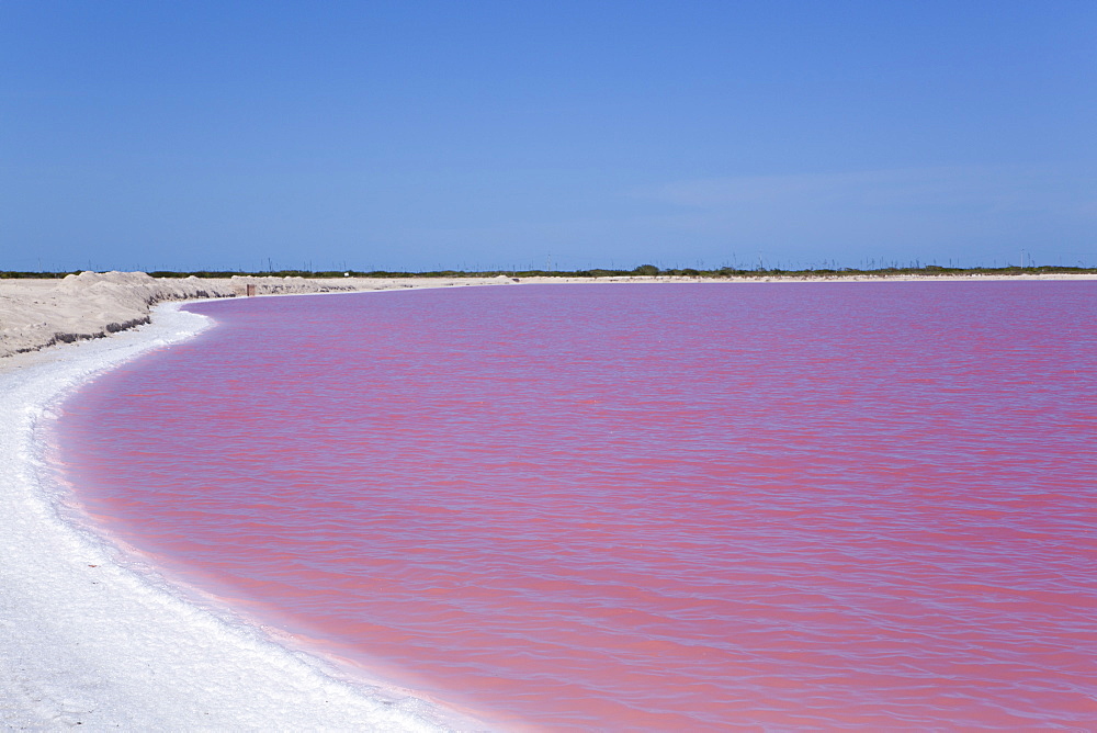 Pink Lakes, Las Coloradas, Yucatan, Mexico, North America