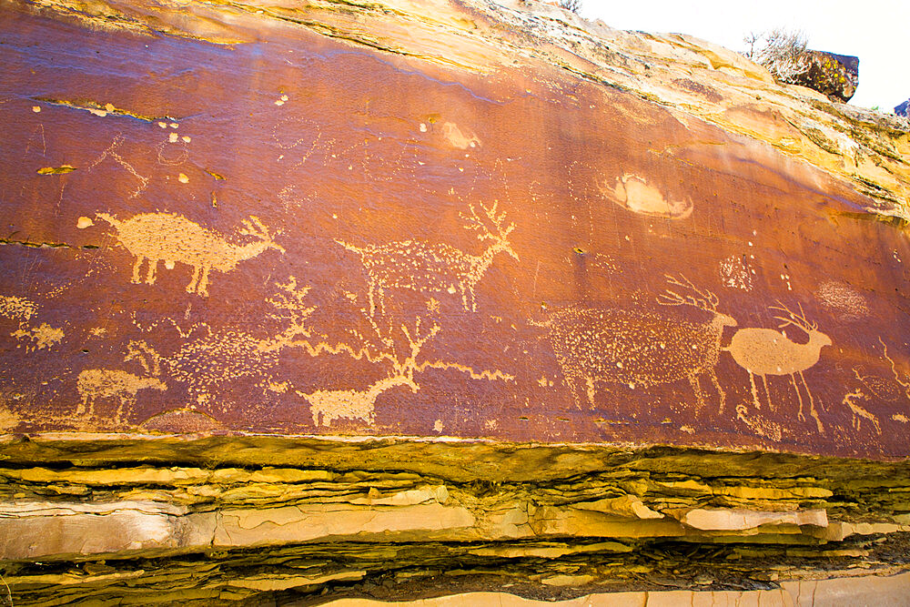 Nefertiti Petroglyphs, Gray Canyon, North of Green River, Utah, United States of America, North America