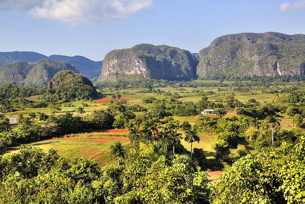 Vinales Valley, UNESCO World Heritage Site, Cuba, West Indies, Caribbean, Central America