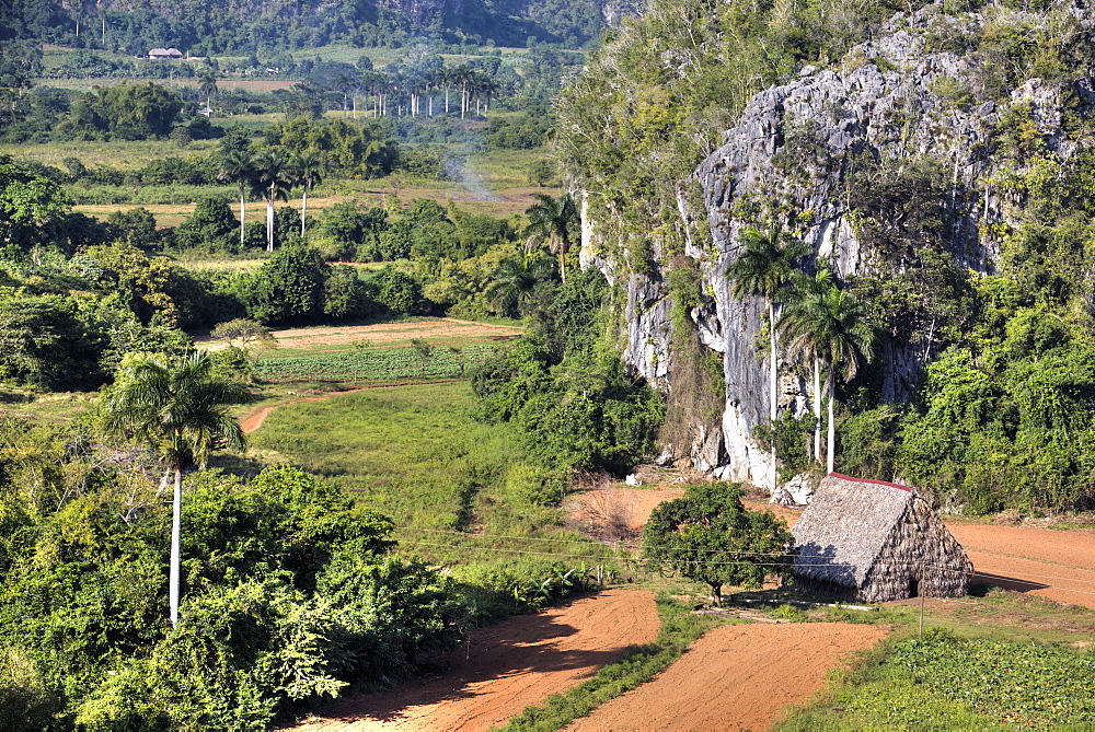 Casa de Tobacco (tobacco drying barn), Vinales Valley, UNESCO World Heritage Site, Cuba, West Indies, Caribbean, Central America