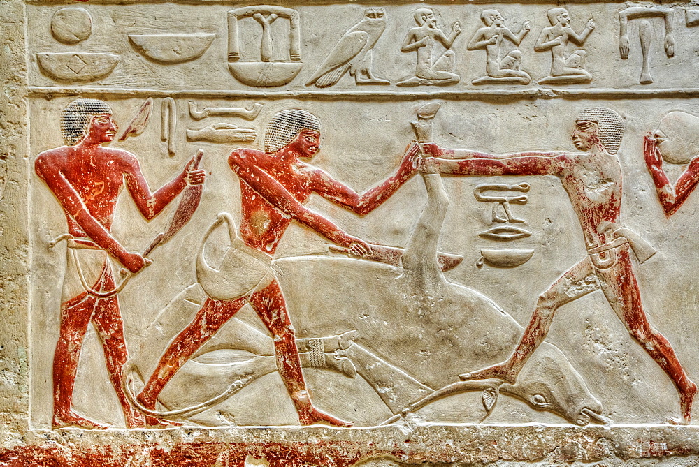 Reliefs, Mastaba of Idut, Step Pyramid Complex, UNESCO World Heritage Site, Saqqara; Egypt, North Africa, Africa