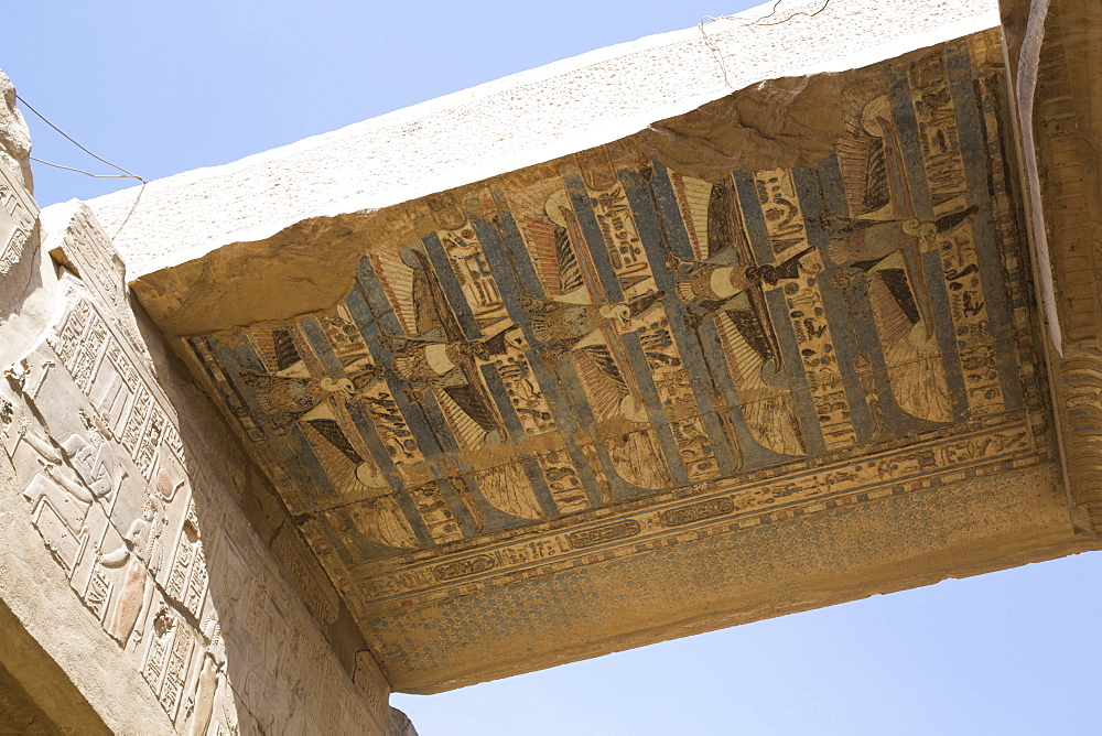 Frescoes of Vultures, Temple of Sobek and Haroeris, Kom Ombo, Egypt, North Africa, Africa