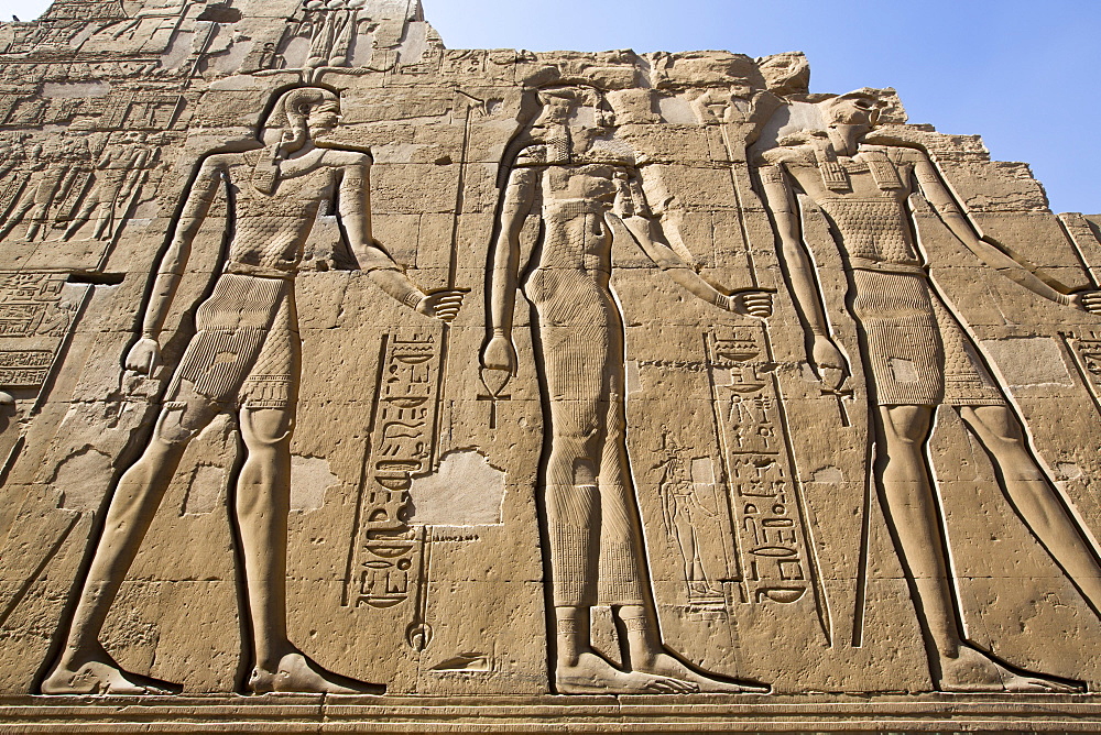 Wall Reliefs, Temple of Sobek and Haroeris, Kom Ombo, Egypt, North Africa, Africa