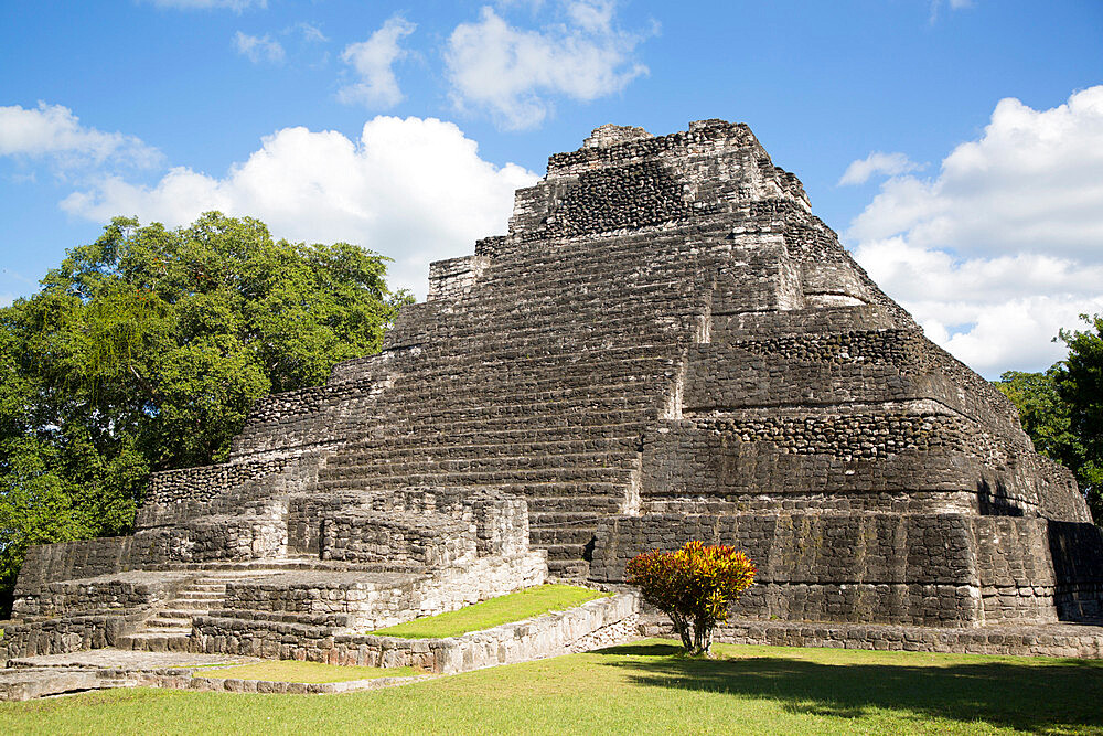 Temple 1, Mayan Site, Chacchoben Archaeological Zone, Chacchoben, Quintana Roo State, Mexico, North America