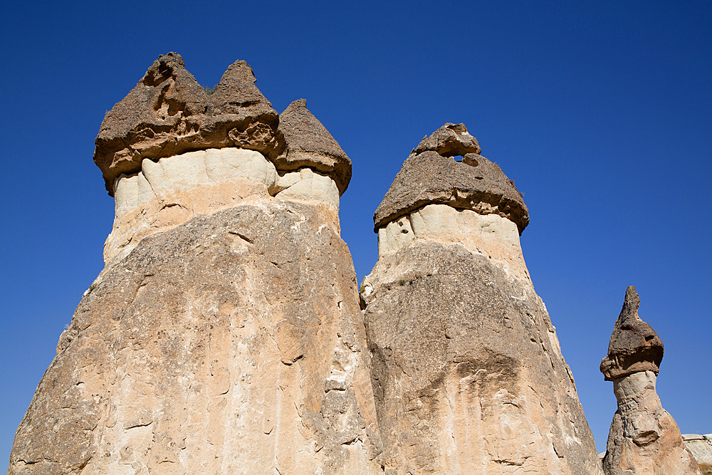 Fairy Chimneys, Pasabag Valley (Monks Valley), UNESCO World Heritage Site, Nevsehir Province, Cappadocia Region, Anatolia, Turkey, Asia Minor, Asia