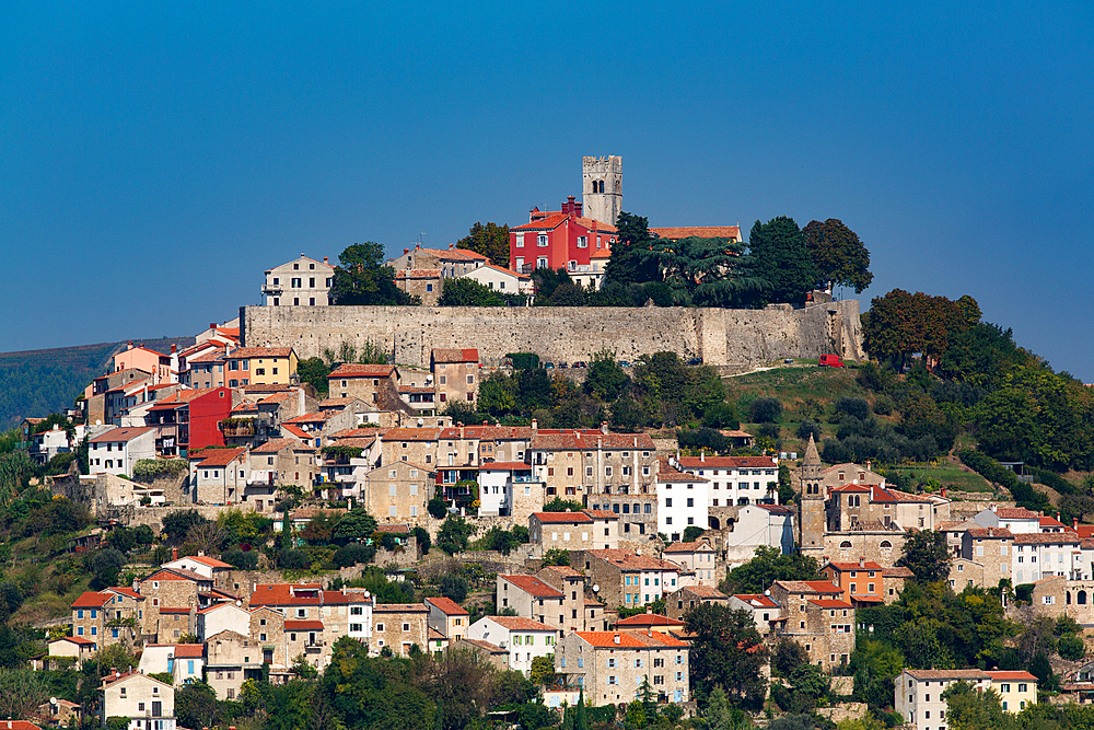 Long distance view, Motovun, Croatia, Europe