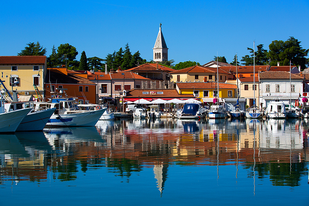 Boats, Marina, Novigrad Port, Tower of St. Pelagius Church in the background, Old Town, Novigrad, Croatia, Europe