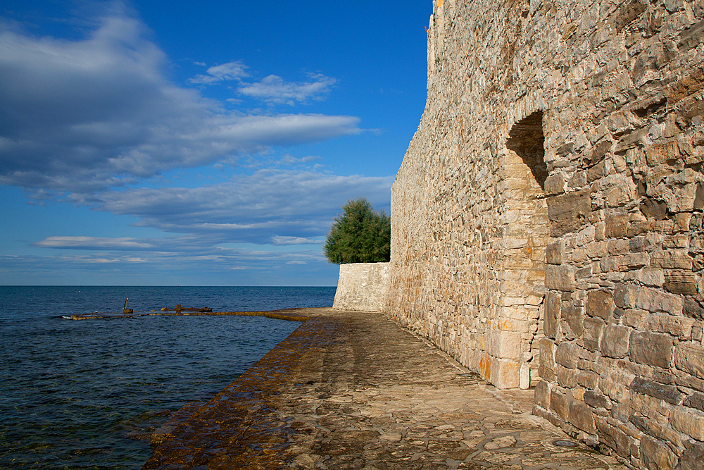 Seaside, City Outer Wall with Doorway, Old Town, Novigrad, Croatia, Europe