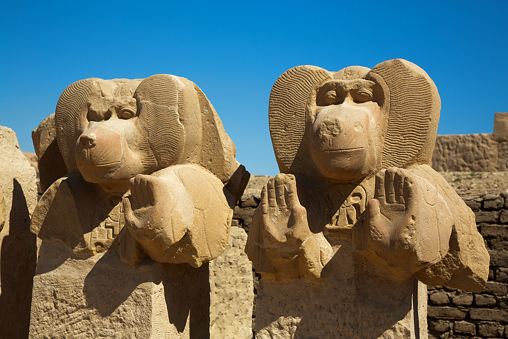 Statues of Babi, Baboon God, Ramesseum, Memorial Temple of Pharaoh Ramesses II, 13th century BC, Ancient Thebes, UNESCO World Heritage Site, Luxor, Egypt, North Africa, Africa