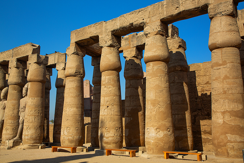 Papyrus Columns, Courtyard of Rameses II, Luxor Temple, UNESCO World Heritage Site, Luxor, Egypt, North Africa, Africa