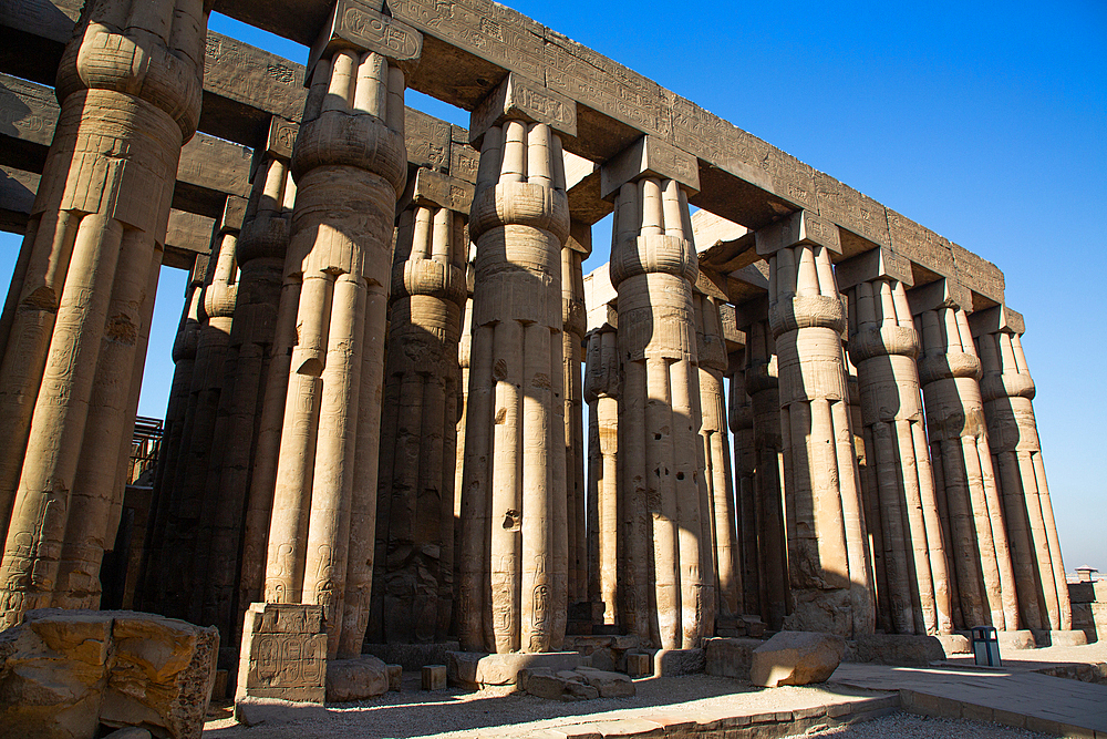 Papyrus Columns, Courtyard of Amenhotep III (Peristyle Court), Luxor Temple, UNESCO World Heritage Site, Luxor, Egypt, North Africa, Africa