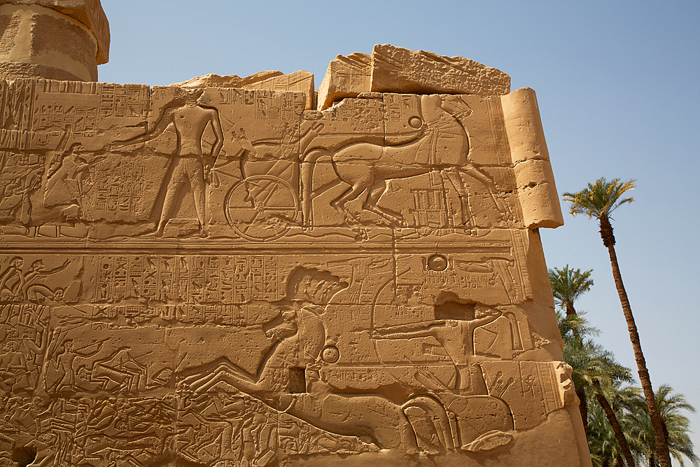 Bas Relief, Wall, Karnak Temple Complex, UNESCO World Heritage Site, Luxor, Egypt, North Africa, Africa