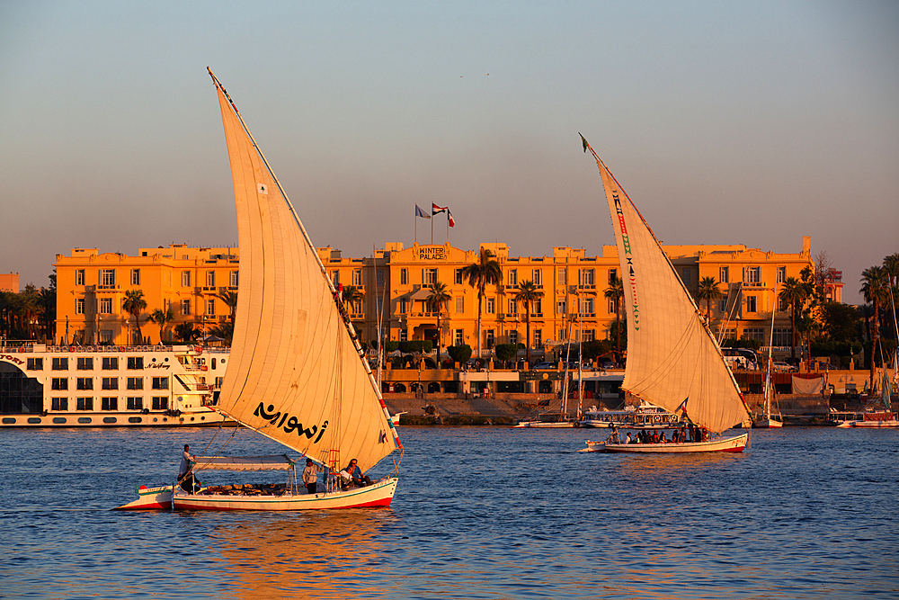 Feluccas Sailing on the Nile River, Luxor, Egypt, North Africa, Africa