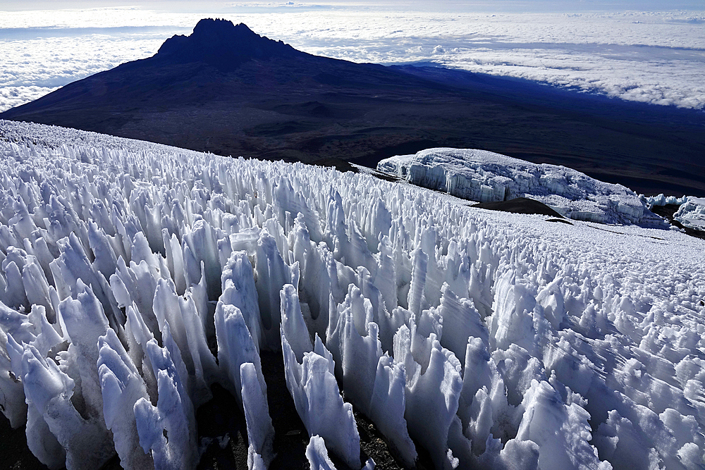 Mountain landscape on Kilimanjaro, 5895 metres, UNESCO, highest mountain in Africa and one of the Seven Summits, Tanzania