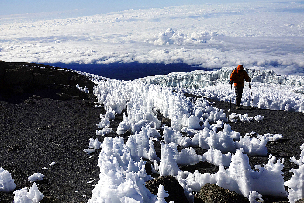 Mountain landscape on Kilimanjaro, 5895 metres, UNESCO, highest mountain in Africa and one of the Seven Summits, Tanzania