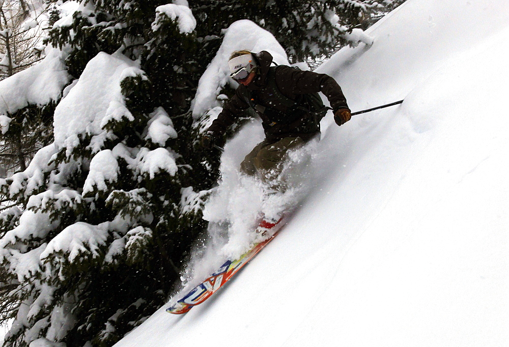 An off-piste skier in deep powder in the forests above Courmayeur and the east side of Mont Blanc, Aosta Valley, Italian Alps, northern Italy, Europe