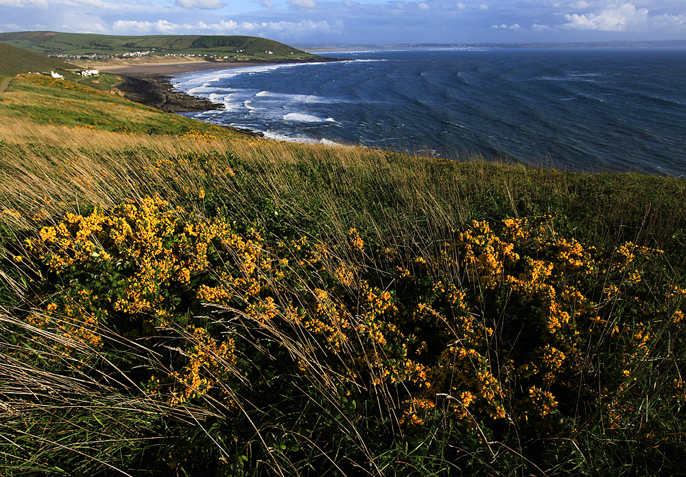 Looking across Croyde Bay from Baggy Point, north Devon, England, United Kingdom, Europe