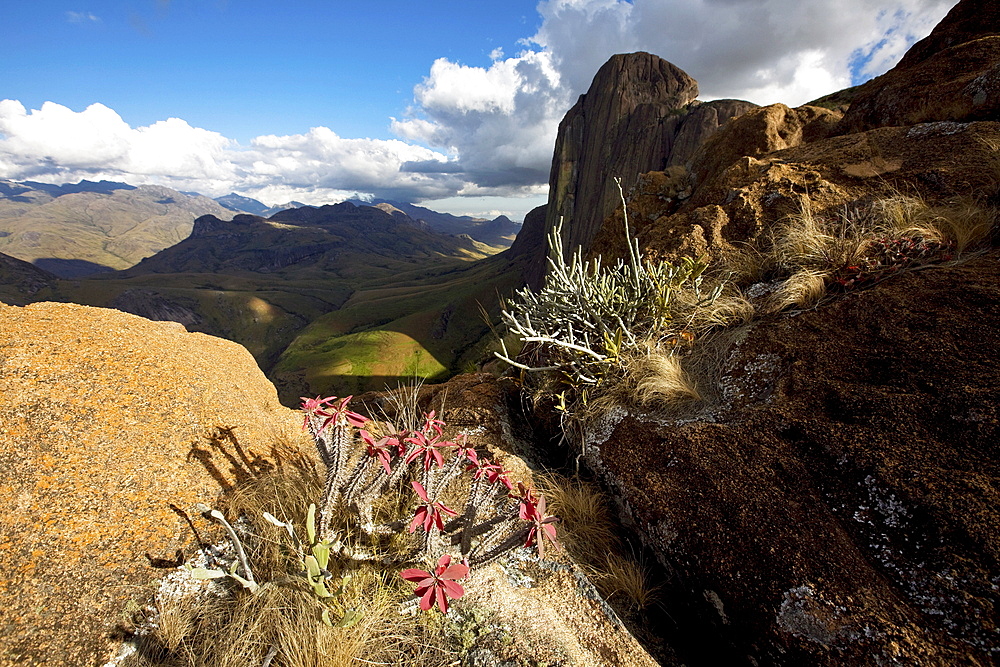 The wild and arid granite terrain of the Tsaranoro Massif, Andringitra National Park, Madagascar, Africa