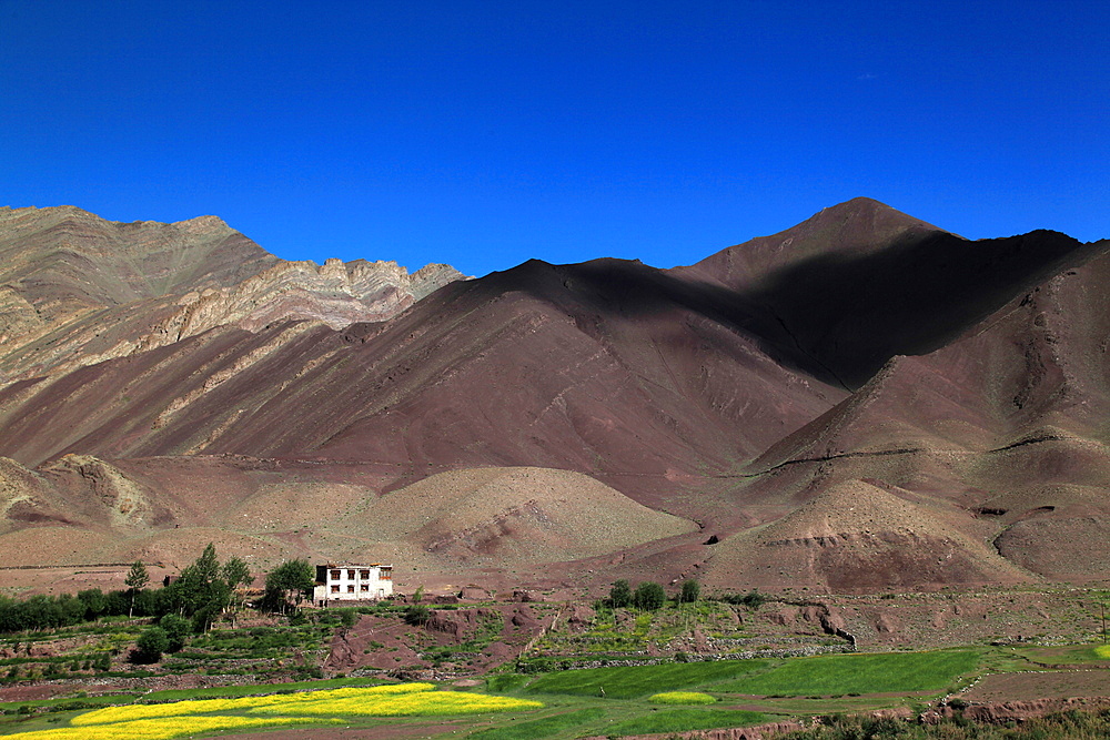 Traditional house in the mountains of Zanskar, Indian Himalaya, India, Asia