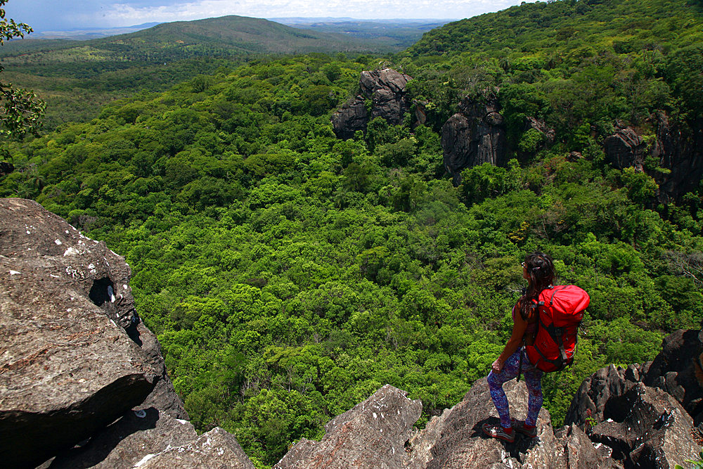 Looking across the jungle at Serra do Cipo, Minas Gerais, Brazil, South America