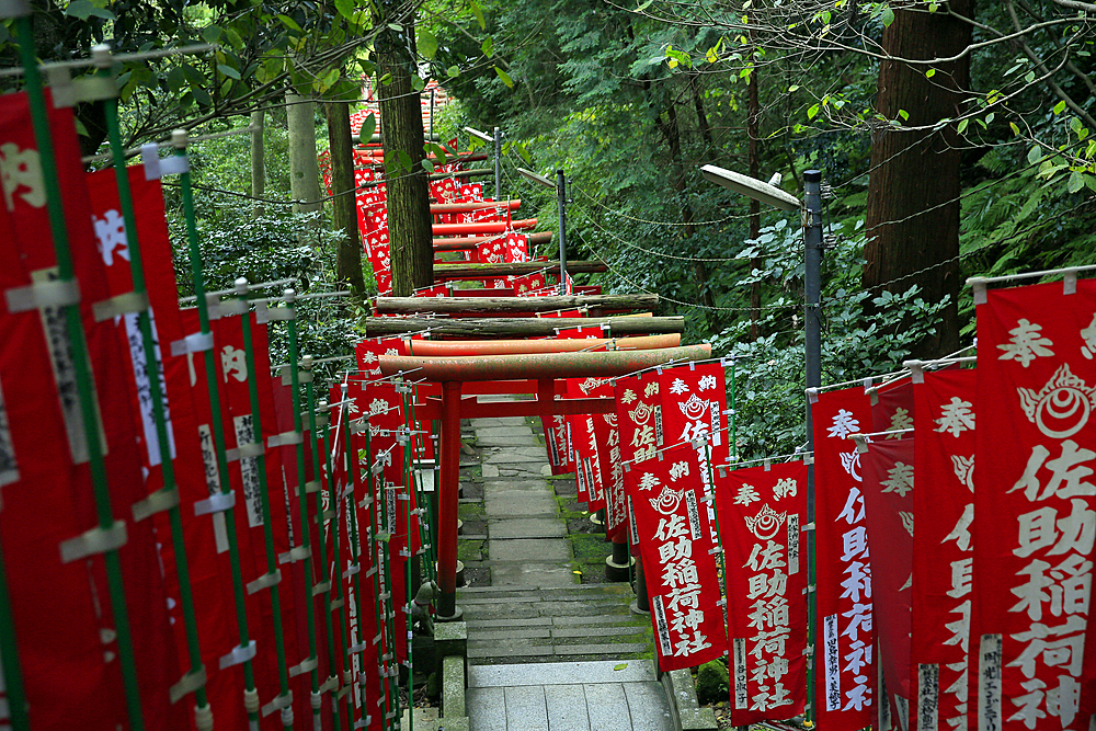 Alley in the Kamakura hills, Honshu, Japan, Asia