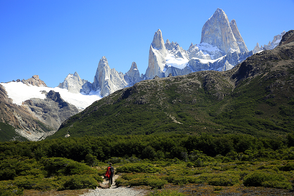 Trekking under Monte Fitz Roy, El Chalten, Argentine Patagonia, Argentina, South America