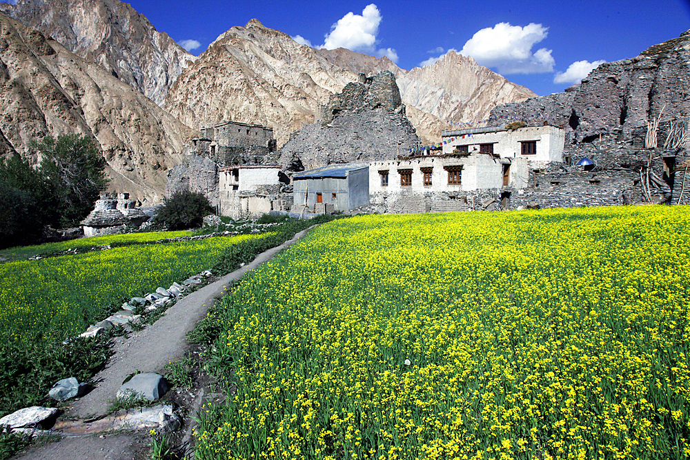 A mountain village in the Markha Valley, Zanskar, India, Asia