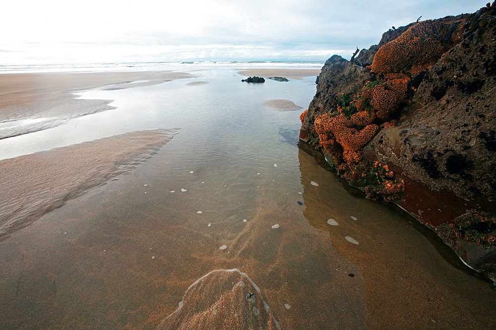 Low tide, Bude, Cornwall, England, United Kingdom, Europe