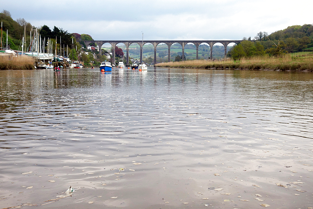 The viaduct over the River Tamar at Calstock, Devon, England, United Kingdom, Europe