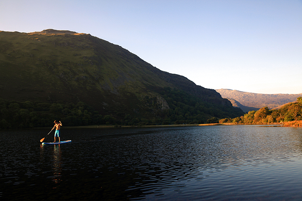 Paddle boarder on Llyn Gwynant, Snowdonia, Wales, United Kingdom, Europe