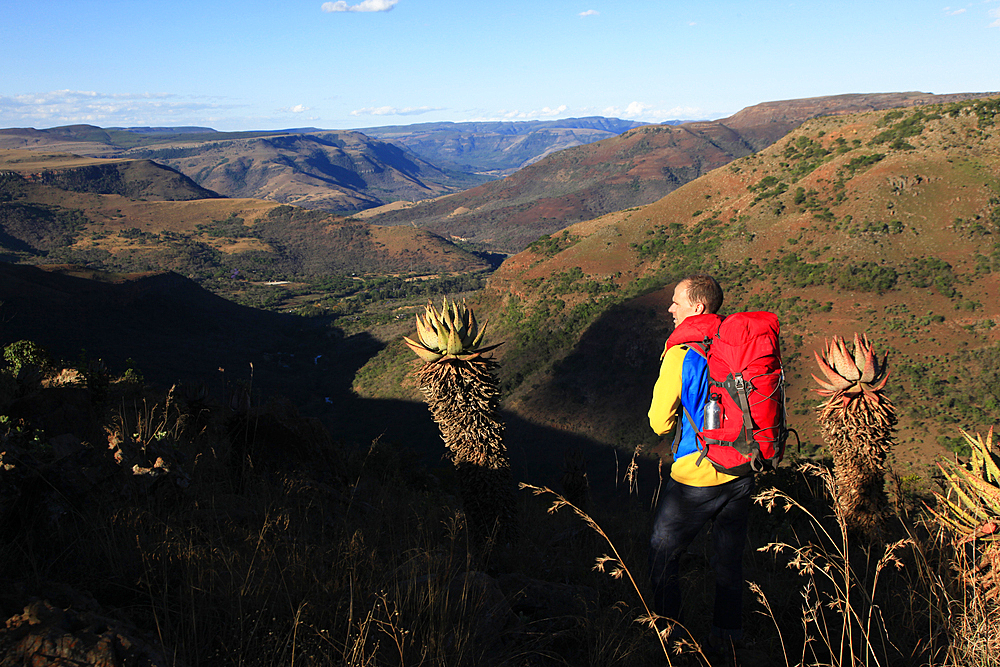 Hiker in the Drakensburg Mountains, South Africa, Africa