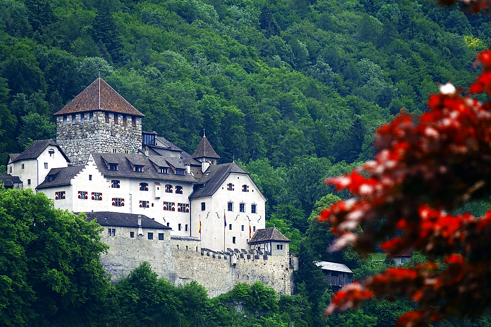 Castle Vaduz, Liechtenstein, Europe