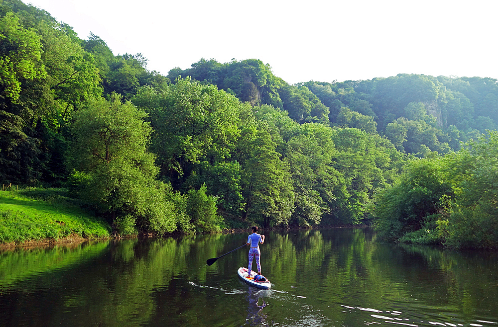 Paddle boarder deep in the Wye Valley Gorge, River Wye, Monmouthshire, Wales, United Kingdom, Europe