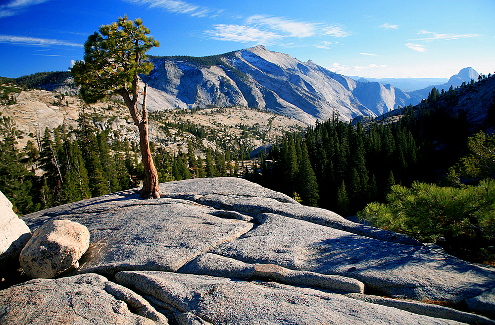 Olmstead Point, Yosemite National Park, UNESCO World Heritage Site, California, United States of America, North America