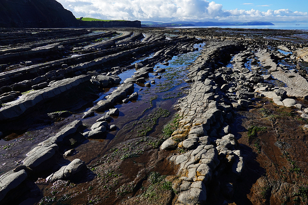 The intertidal zone of the Quantock Coast, West Somerset, contains an abundance of geology and wildlife. It is a Site of Special Scientific Interest (SSSI) and is of international geological importance.