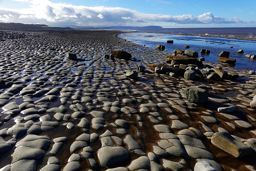 The intertidal zone of the Quantock Coast, West Somerset, contains an abundance of geology and wildlife. It is a Site of Special Scientific Interest (SSSI) and is of international geological importance.