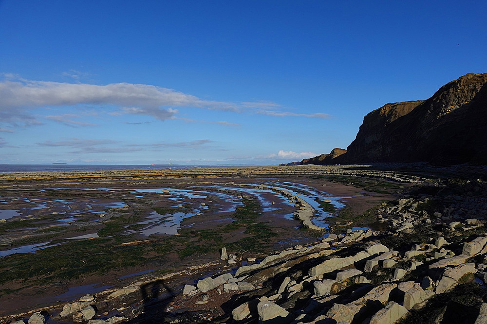 The intertidal zone of the Quantock Coast, West Somerset, contains an abundance of geology and wildlife. It is a Site of Special Scientific Interest (SSSI) and is of international geological importance.