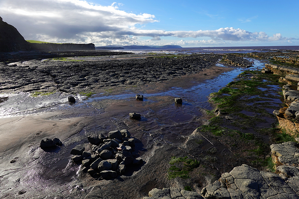 The intertidal zone of the Quantock Coast, West Somerset, contains an abundance of geology and wildlife. It is a Site of Special Scientific Interest (SSSI) and is of international geological importance.