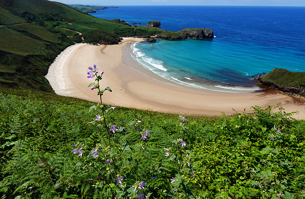 Playa de Torimbia, Asturias, Spain, Europe