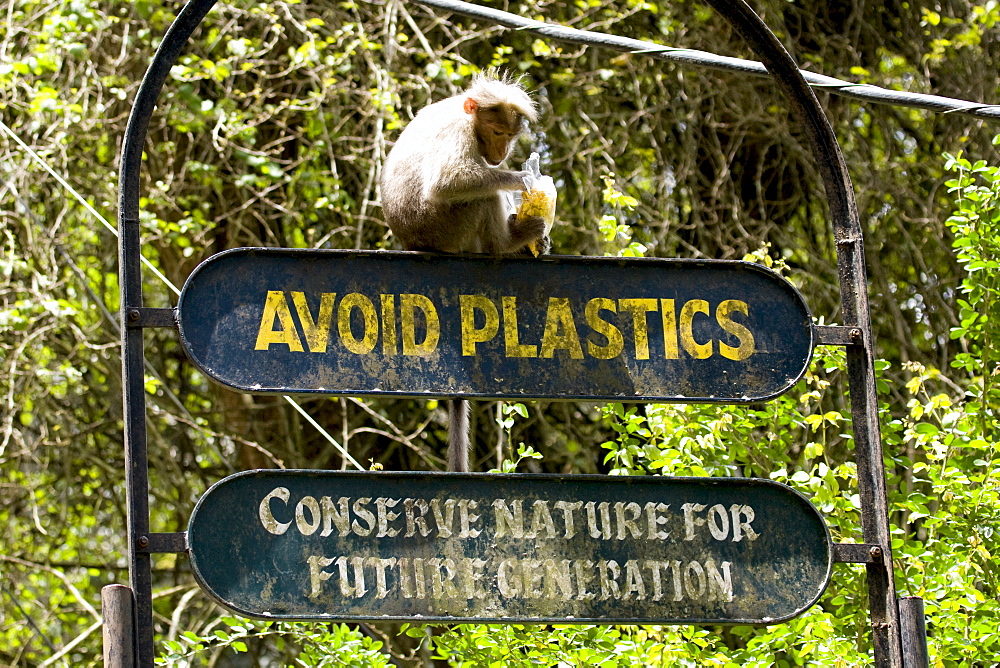 Signboard, Thekkady, Kerala, India, Asia