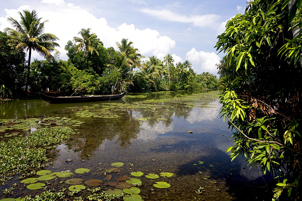 Backwaters of Kumarakom, Kottayam, Kerala, India, Asia